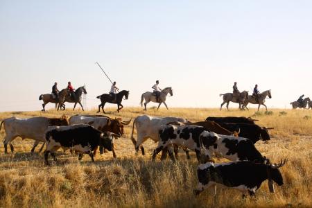 Imagen Tradición y cultura se dan la mano en el fin de semana grande de la provincia de Segovia